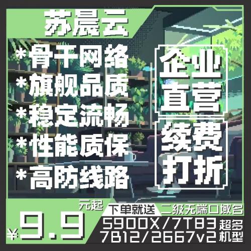我的世界铂金8259CL VPS 电信骨干网络 企业机房 全国超低延迟