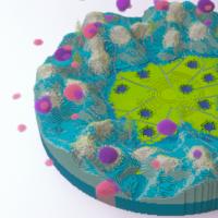 【商城福利】精品地图pvp地图