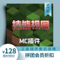 [DS团队][插件]技能视图