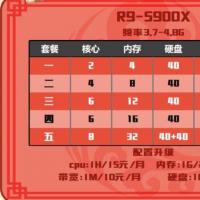 恭喜娱乐 R9 5900x